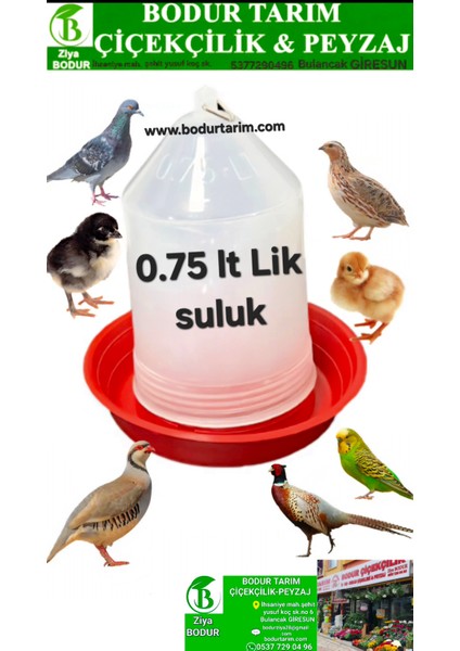 Bulancak Kalite Plastik 0.75 ml Civciv ,kuş Tavuk Suluğu Şeffaf