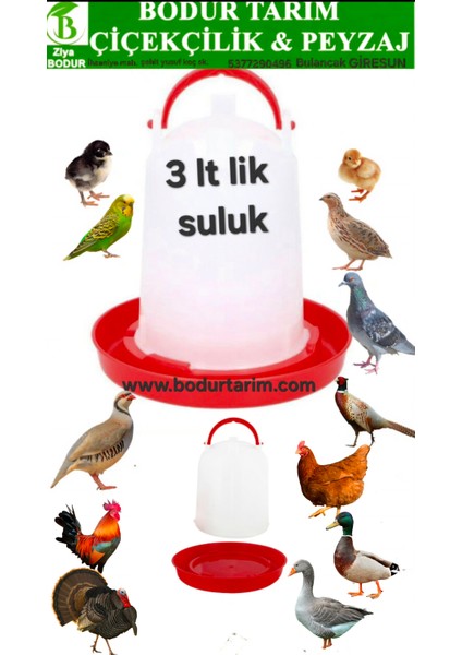 Bulancak kalite plastik 3 Lt Lik Civciv ,kuş Tavuk Suluğu Şeffaf