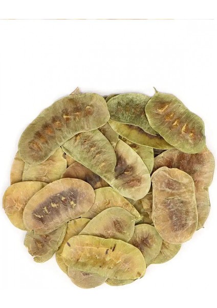 Organik Taze Dökme Açlık Otu 250 gr