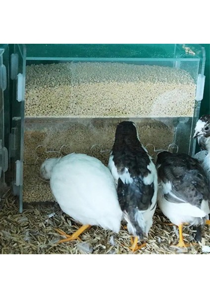 Papaz Besleyici Kutusu Akrilik Besleme Konteyneri No-Sess Çoklu Çizgi Kutusu Açık Kuş Yemek Dispenser Kutusu Finches Papağanlar (Yurt Dışından) modelleri