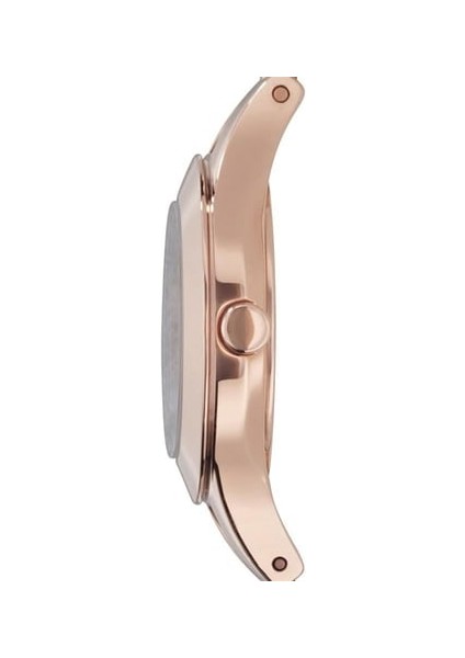 AR7329 Kadın Kol Saati fiyatları