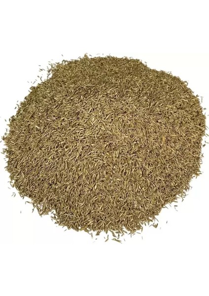 6 Karışımlı Çim Tohumu 10 Kg