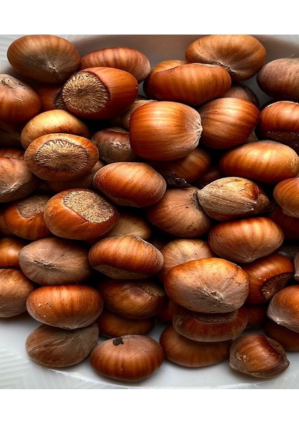 Kabuklu Fındık Çiğ 1 kg fiyatları