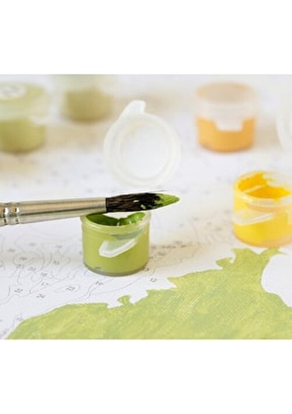 Sayılarla Boyama Seti Dağ Evi 40x50 cm Orta Seviye Akrilik Boya ve Fırça Seti