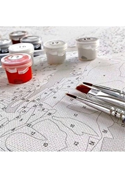 Sayılarla Boyama Seti Dağ Evi 40x50 cm Orta Seviye Akrilik Boya ve Fırça Seti