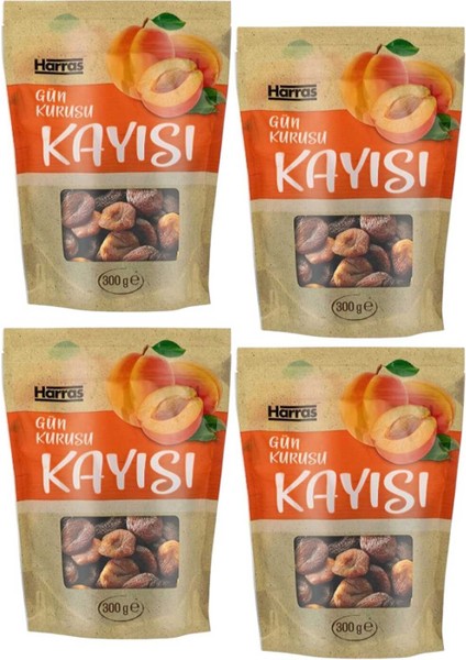 Yerli Doğal Gün Kurusu Kayısı Yumuşak Taze 4 Adet x 300 gr