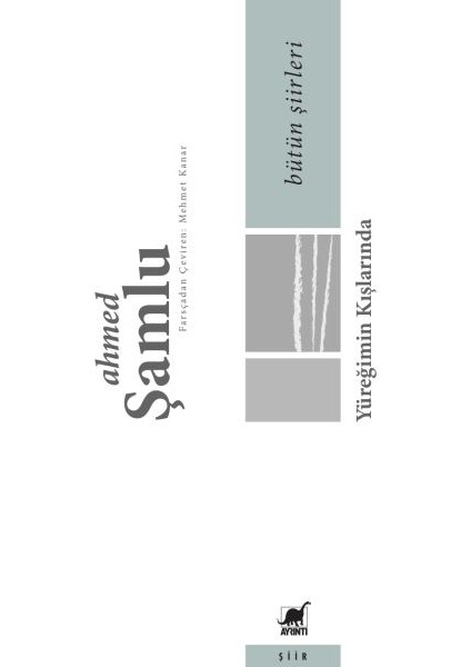 Bütün Şiirleri - Yüreğimin Kışlarında