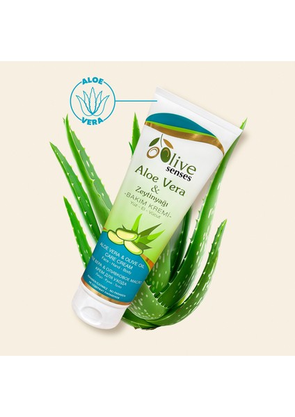 Aloe Vera & Zeytinyağı Cilt Bakım Kremi fiyatları
