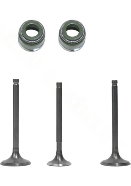 TVS JUPITER 125 EMME EGZOZ SÜBAP TAKIMI ORJ