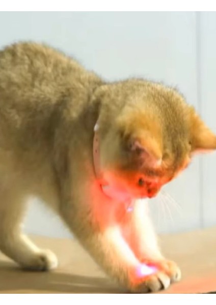 Otomatik Lazer Oyun Tasması modelleri