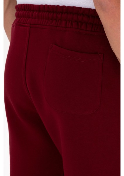 Erkek Bordo Eşofman Altı 50313745-VR014