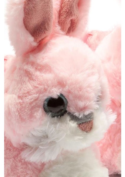 Rolly Çocuk Hayvanlı Panduf Pembe 24/31 CC0693 fiyatları