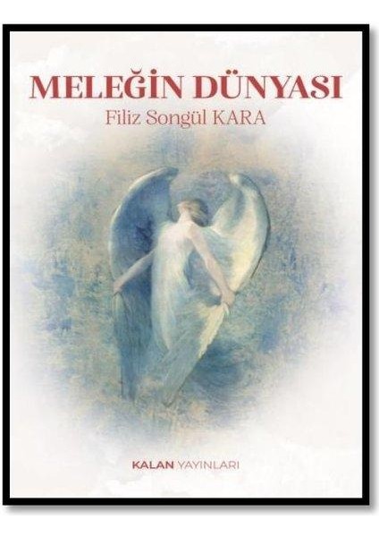 Meleğin Dünyası