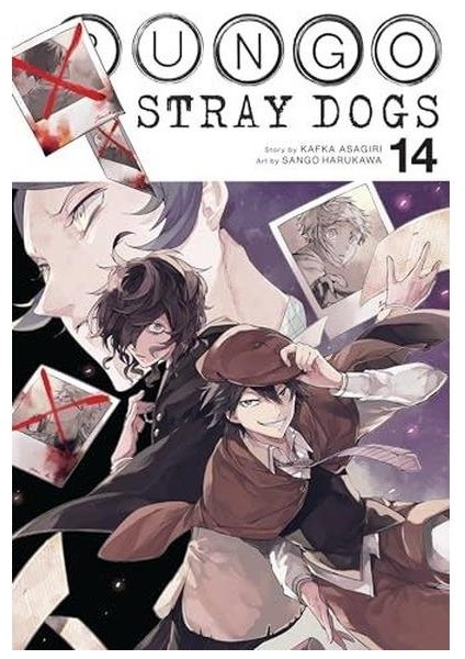Bungo Stray Dogs Vol. 14