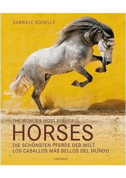 The World's Most Beautiful Horses (Ciltli)