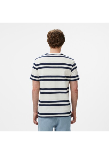 Erkek Krem Regular Fit Çizgili T-Shirt fiyatları