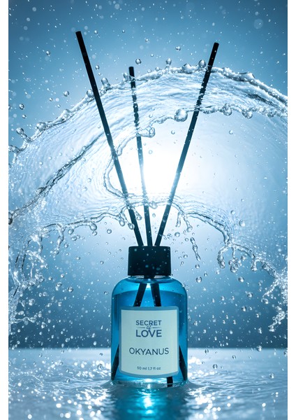 2'li Oda Kokusu Çubuklu Ocean Okyanus 50 ml