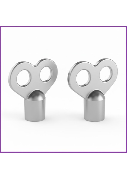 Radyatör Prujör Petek Havlupan Hava Alma Purjör Anahtarı 2 Adet