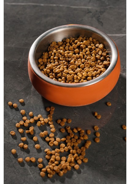 Beton Kedi ve Köpek Mama/su Kabı | Paslanmaz Çelik Iç Hazneli, Devrilmez ve Hijyenik Besleme Kabı modelleri