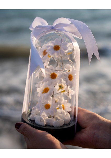 Dekoratif LED Işıklı Papatya Fanusu Sevgiliye Özel Hediyelik Fanus fiyatları