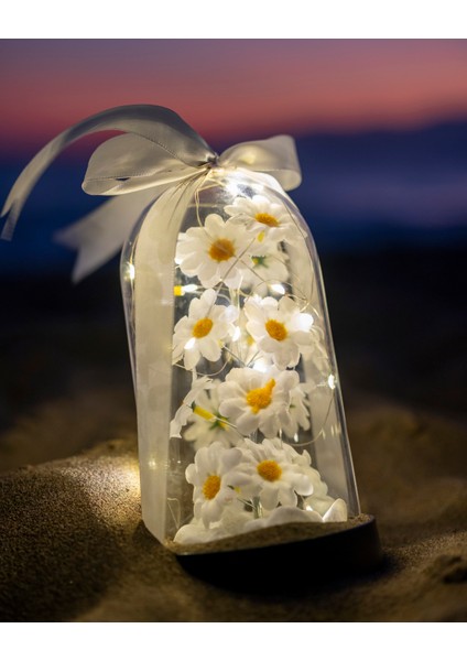 Dekoratif LED Işıklı Papatya Fanusu Sevgiliye Özel Hediyelik Fanus modelleri