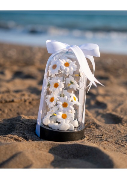 Dekoratif LED Işıklı Papatya Fanusu Sevgiliye Özel Hediyelik Fanus fırsatları