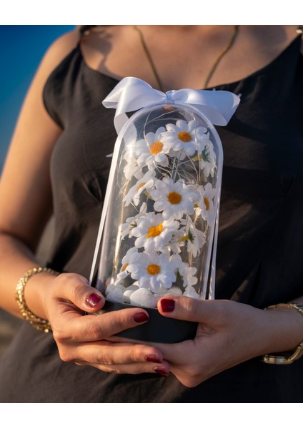 Dekoratif LED Işıklı Papatya Fanusu Sevgiliye Özel Hediyelik Fanus indirimleri