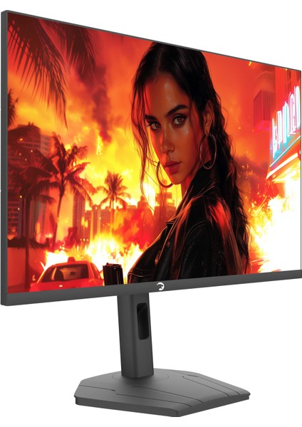 Lunis L60 27'' 260Hz 0.5ms Fast IPS Fhd Rgb Pivot Gaming Monitör (Sıfır Ölü Piksel Garantili) modelleri