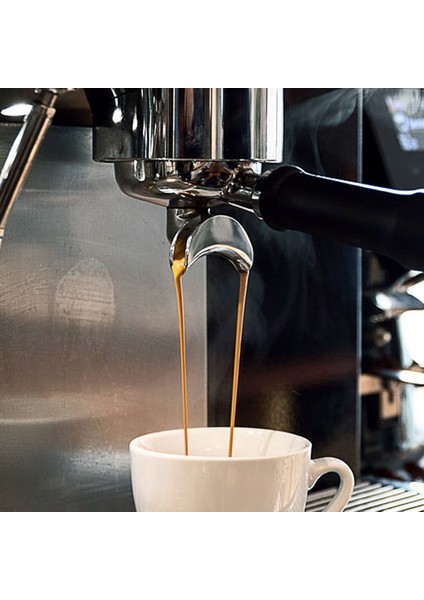 Yarı Automatik Kahve Makinesi Tutucu Digerter Nozul Paslanmaz Çelik Drenaj Nozul Derivasyon Nozumu 58MM, Tek (Yurt Dışından) fırsatları