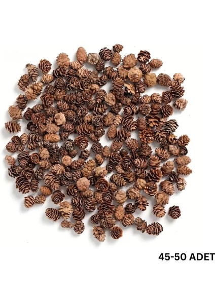 Doğal Kurutulmuş Çam Kozalak Seti-75 Gr, Hobi ve Yılbaşı Süsü, Hediye Paketleme, 45-50 Adet - 2-3 cm