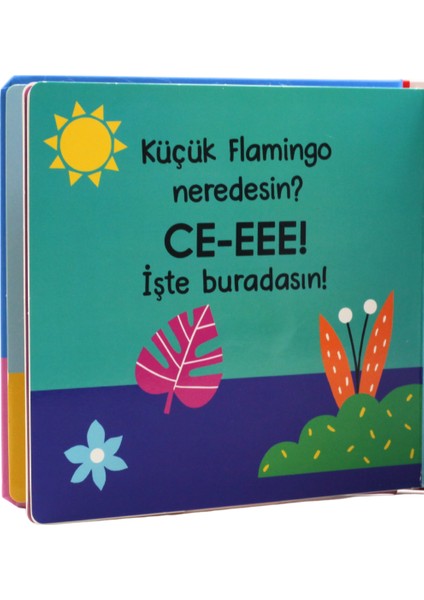 Küçük Aslan Neredesin?/ce-Eeee! Dokun & Keşfet modelleri