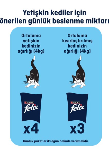 Karışık Yaş Kedi Maması 85 gr x 104 Adet