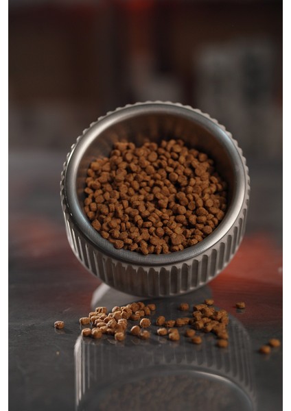 Beton Kedi ve Köpek Mama/su Kabı | Devrilmeye Dayanıklı, Paslanmaz Çelik Kaseli fırsatları