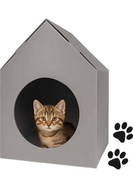 Patidostu Kedi Evi 45x45x32 CM 2,5 MM