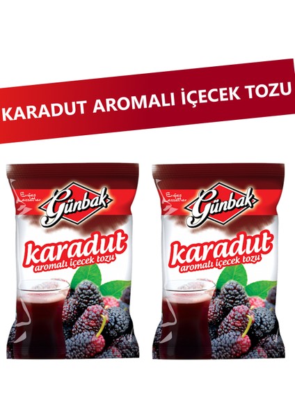 Karadut Aromalı Toz Içecek 250 gr x 2 Adet