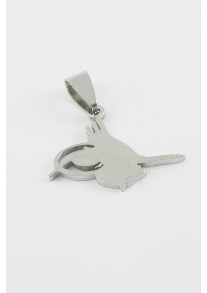 Ds-Derin Tuğra Çelik Kolye Ucu 2,1 Cm-Gümüş Rengi