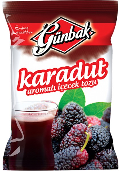 Karadut Aromalı Toz Içecek 250 gr x 12 Adet fiyatları