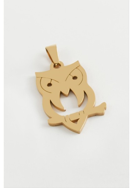 Ds-Derin Baykuş Çelik Kolye Ucu 3 Cm-Siyah