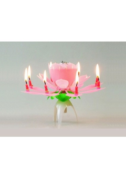 Müzikli Mum fırsatları