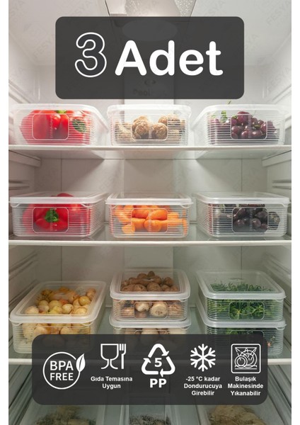 Nera 3 Adet Buzdolabı Organizer Vakumlu Sızdırmaz Kapaklı 3,5 Lt Düzenleyici Organizer