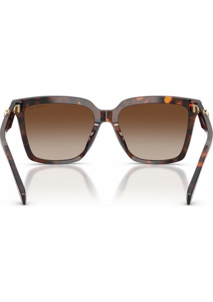 Güneş Gözlüğü MK2256U 55 4031AO fiyatları