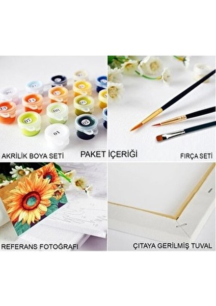 Sayılarla Boyama Kasnaklı Tablo Seti Atlar 40x50 cm Fırça ve Boya ile Eğlenceli Sanat