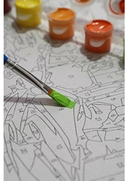 Sayılarla Boyama Kasnaklı Tablo Seti Atlar 40x50 cm Fırça ve Boya ile Eğlenceli Sanat