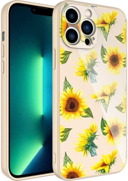 iPhone 13 Pro Max Kılıf Kamera Korumalı Desenli Sert Silikon Senk Epoksi Kapak-No2