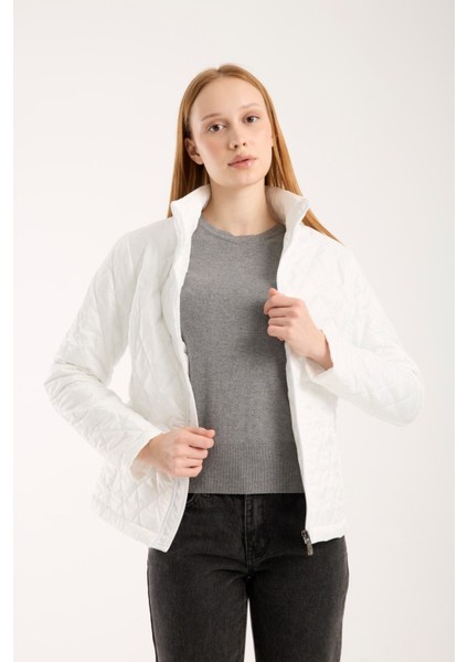 Kadın Baklava Desen Mevsimlik Mont – Hafif Dolgulu, Dik Yaka, Fit Siluet 8787