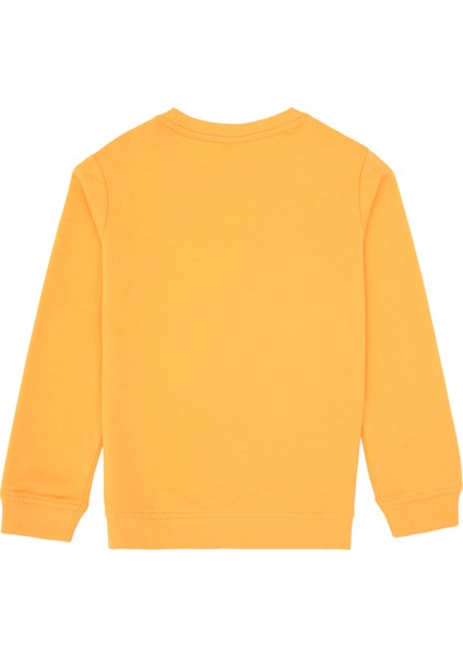 Erkek Çocuk Sweatshirt 50313900-VR244 fiyatları