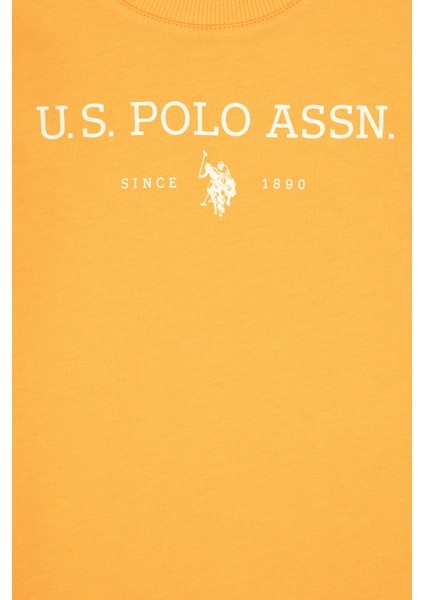 Erkek Çocuk Sweatshirt 50313900-VR244 modelleri