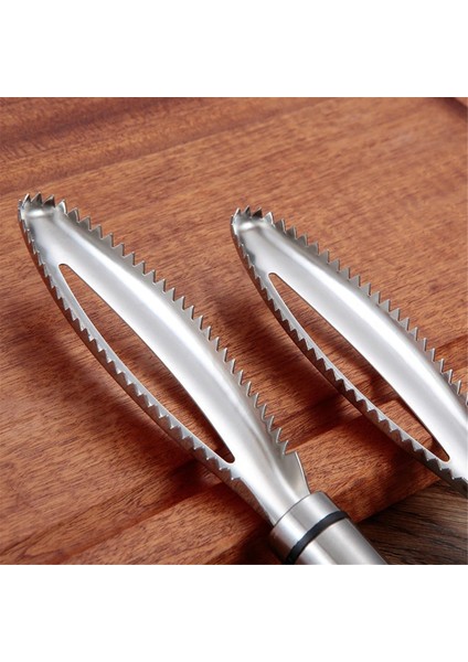 Balık Pulları Fırçası Balık Pulları Temizleyici Paslanmaz Çelik Tırtıklı Kolay Çıkarılabilir Balık Pulları Temizleme Fırçası Mutfak Aletleri (Yurt Dışından) modelleri