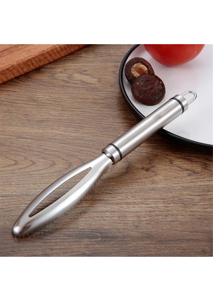 Balık Pulları Fırçası Balık Pulları Temizleyici Paslanmaz Çelik Tırtıklı Kolay Çıkarılabilir Balık Pulları Temizleme Fırçası Mutfak Aletleri (Yurt Dışından) indirimleri