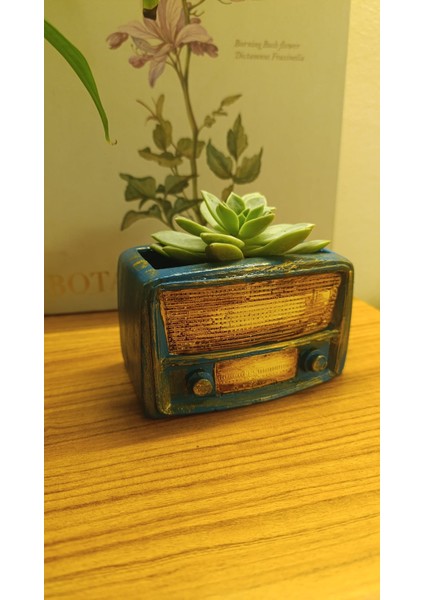 Retro Radyo Sukulent Saksısı ve Kalemlik - Masaüstü Dekoratif Organizer Mavi 12*8 indirimleri